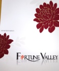 FRTUNE VALLEY 家飾布 窗簾 第二頁